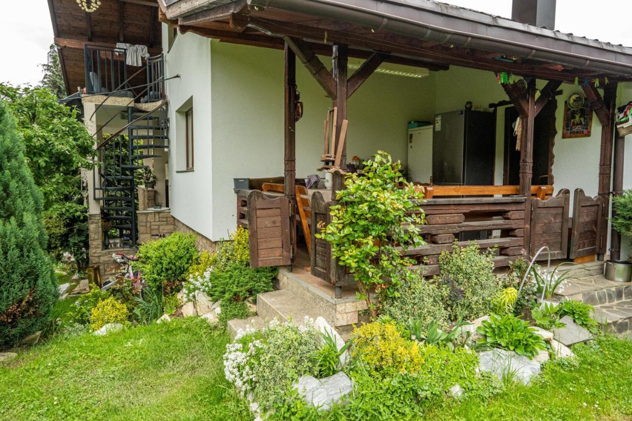 Cabana Rustic Borşa Exterior foto