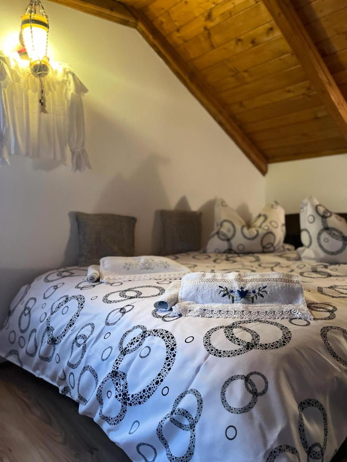 Cabana Rustic Borşa Habitación foto