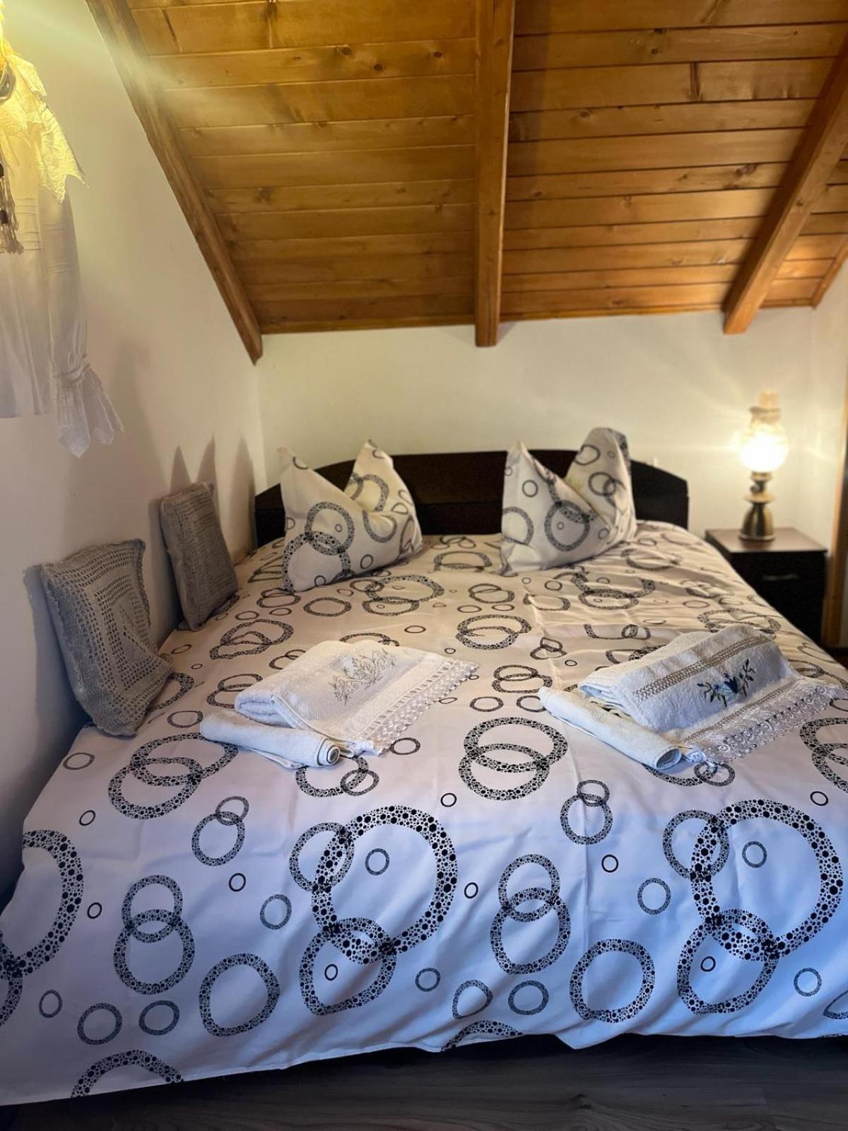 Cabana Rustic Borşa Habitación foto